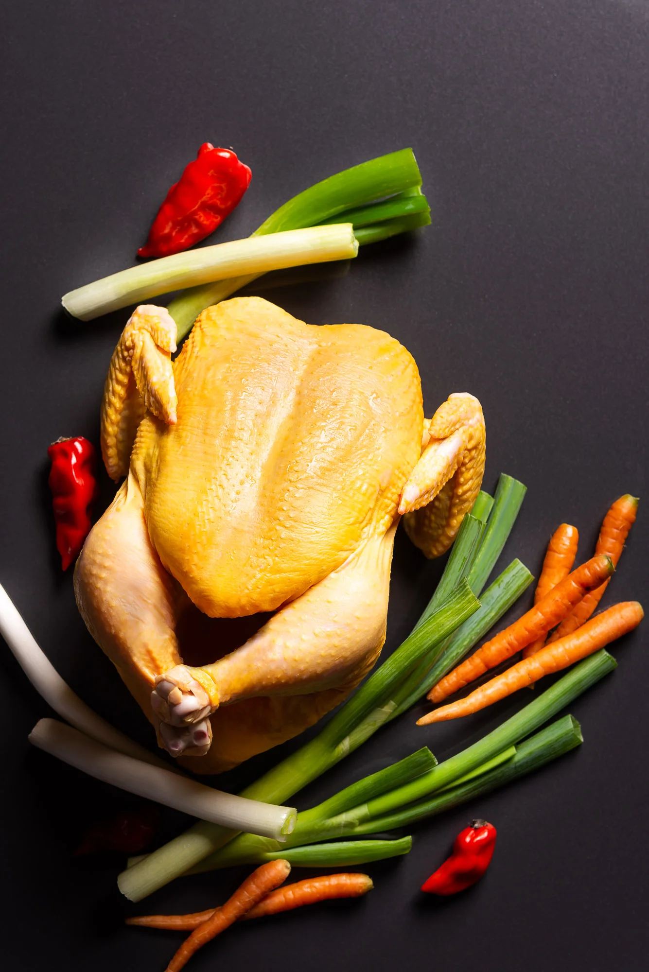 Pollo